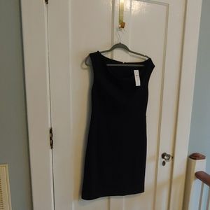 Ann Taylor Sheath Dress